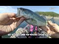 배스낚시 안동호 상류 런커들좀 들어왔니 bassfishing kayak