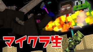 【不可能】マイクラハードコアエンドラ討伐練習生放送【Minecraft】