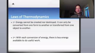 BIO 20 Energy transfer through the biosphere