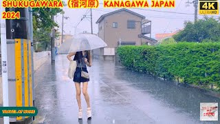 【4k hdr】 3 Hours Heavy Rain Walk in Shukugawara（宿河原）Kanagawa Japan | Relaxing Natural City ambience