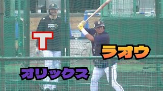 【プロ野球】2024.2.2（初日）オリックス　春季キャンプ　『野手組　Bグループ　バッティング②』