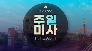 [천주교 서교동 성당] 2021년 3월 28일 주님수난성지주일 (주일교중미사)