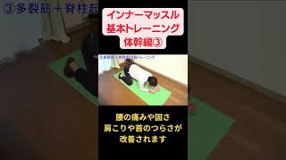 【多裂筋③】肩こり・腰痛・姿勢改善！フルトレ式で体幹トレーニングをして、姿勢崩れや骨盤・背骨のゆがみを解消しましょう！基本トレーニング体幹編③　多裂筋・脊柱起立筋など正しい背筋のトレーニング