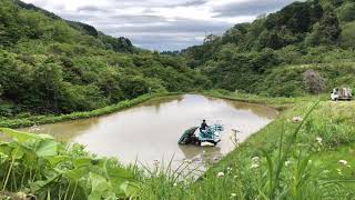 山の田んぼの代掻きと田植え（タイムラプス）