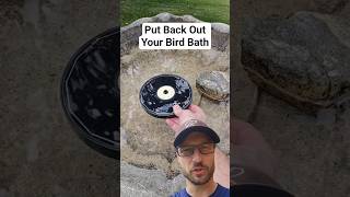 Put Your Bird Bath Back Out Birdbath