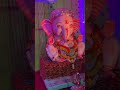 Bala Ganesh g 🤩🤩🤩/#idol#love#youtubeshorts#ganesh#shorts#youtube#youtuber#sorts#song#vairalvideo