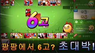 한게임신맞고-팡팡에서 6고! 말모말모~풀!!!