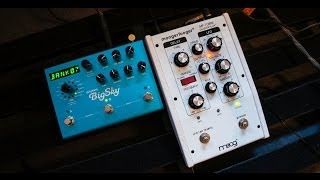 Strymon BigSky \u0026 Moog MF-108 Cluster Flux