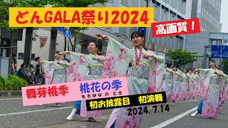 舞芽桃季・どんGALA祭り2024チームお披露目初演舞(2024.7.14)