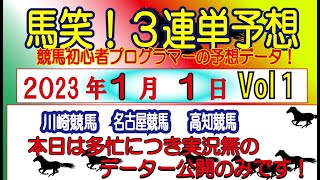 【馬笑！3連単予想 】1/1日 川崎競馬・名古屋競馬・高知競馬　競馬初心者プログラマーの予想をお楽しみください！