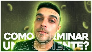 Como germinar uma semente M4C0NH4