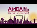 international student reviews for amda’s high school summer conservatory