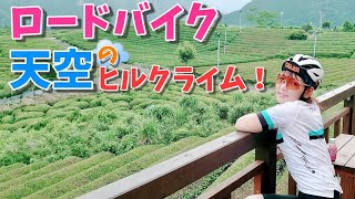 【マチュピチュ】ロードバイクで岐阜のマチュピチュ、天空の茶畑へヒルクライムしてきました！