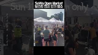 일요일 5시간만 열리는 미국 마켓 SoWa market in Boston #sowamarket #southend #boston #보스턴일상 #bostonvlog #보스턴브이로그