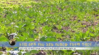 ለ110 ሰዎች የስራ እድል የፈጠረው የከተማ ግብርና