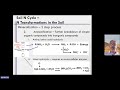 week 5 unit 5a video 11 how does n mineralization work