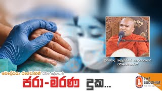 Ven Gallalle Pagngnasagara Thero | 2021-05-24 |  11:30 AM (ජරා-මරණ දුක)