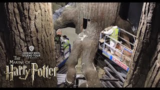 Step into the Forbidden Forest | Warner Bros. Studio Tour London