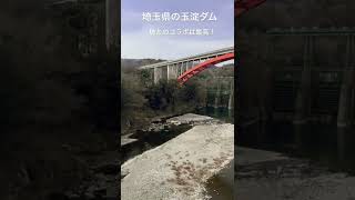 埼玉県　玉淀ダムの眺めは最高だった！#Shorts