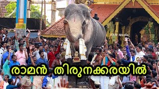 Thechikottukavu Ramachandran Mass Entry at Thirunakkara Pooram 2018