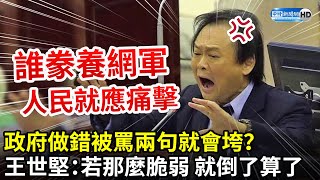 政府做錯被罵兩句就會垮？　王世堅：若那麼脆弱 就倒了算了｜中時新聞網