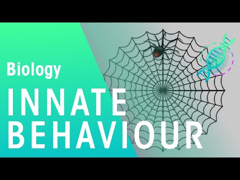 Can innate behaviors be altered by natural selection?