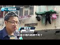 【on.cc東網】探射燈：見證香港大半世紀　t形路牌殘存無幾