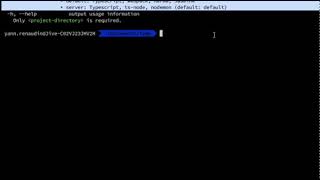 Setup a Typescript Project from CLI