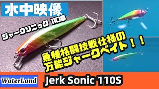 【水中映像】ジャークソニック110Sのジャーキングはめちゃくちゃ気持ちいい〜！【シーバス】【村田基】【ウォーターランド】