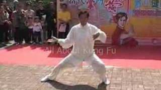 Wamg Xian Taiji Demonstration, 2005(王西安大師)