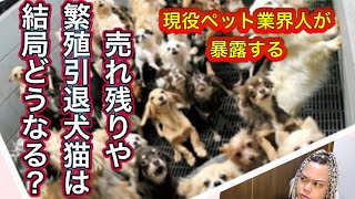 ペット業界人が暴露！犬猫の売れ残りは何処に行くのか？