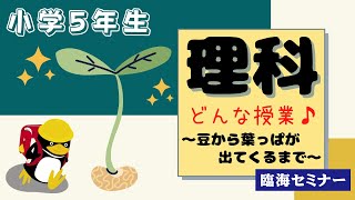 臨海セミナー 授業紹介動画 [小5理科]