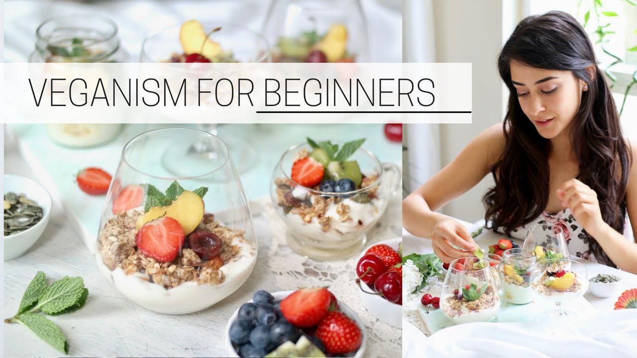 Beginner S Guide To Veganism How To Go Vegan Dailyveganlife Beginner S Guide To Veganism How To Go Vegan Dailyveganlife
