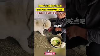 狗狗半夜獨自看守店面，看到路人委屈得像孩子一樣“哭泣”，好心路人一邊安慰一邊做飯給它喫。#china #熱門 #生活 #狗狗的心思都写在脸上了 #治愈 #这个世界不能没有小狗