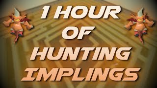 Hunting Implings | Testing OSRS Wiki Money Making Methods