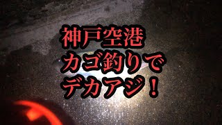 神戸空港カゴ釣りでデカアジ！fishingmax神戸ハーバー店