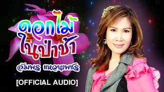 ดอกไม้ในป่าช้า- อัมพร แหวนเพชร[OFFICIAL AUDIO]