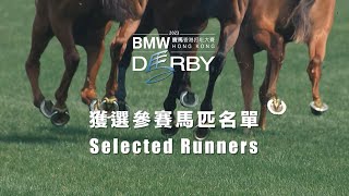 [Hong Kong Derby 2023] Selected Runners