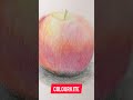 Apple - Faber Castell Colour Pencil Sketch