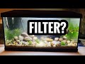 Best Filter for Guppy Fish Tank!