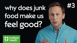 Why does eating junk food make me feel good?