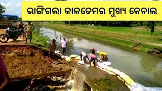 Odisha : Main canal of Kala reservoir collapse in Mayurbhanj | Sanket Tv