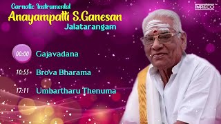 Anayampatti S.Ganesan Carnatic Songs – Jalatarangam | Carnatic Classical Instrumental | Jaltarang