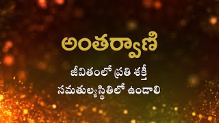 అంతర్వాణి  | జీవితంలో ప్రతి శక్తీ సమతుల్యస్థితిలో ఉండాలి  | Heartfulness |  19-12-2022