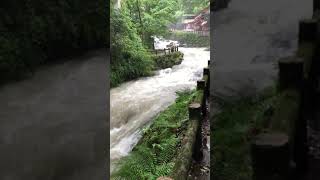 箕面の滝道　大雨後