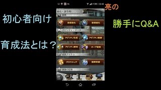 【FFRK】初心者向け育成法＆曜日ダンジョン周回について【Q\u0026A】