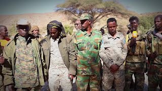 DAAWO: Ciidamada Difaaca Puntland oo toogasho ku dilay 89-kamida argagixisada Daacish Ciidamada oo..