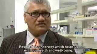 New research unit for Strokes may help Maori Te Karere Maori News TVNZ 6 Nov