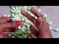 traditional method to string jasmine flower simple way to string malligai poo