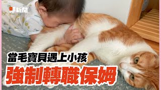 毛保姆好難當！遇上家裡小孩子 狗狗貓貓超無奈：好想下班｜寵物